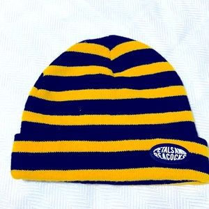 🟢 Brand new Winter beanie Zumiez petals and peacocks bee stripes